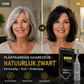 ✨TIJDELIJK 50% KORTING🌿Plantaardige Kam-In Haarverf – Eenvoudig, Grijsdekking, Voedende Formule✨