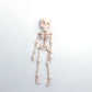 3D-geprint vintage skelet magnetisch beeldje 🎃