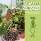 Kikker plantenstandaard – Schattige en stabiele steun voor kleine potplanten en vetplanten