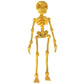 3D-geprint vintage skelet magnetisch beeldje 🎃