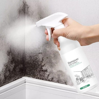🔥Hot Sale🔥Schimmelverwijderaar Spray