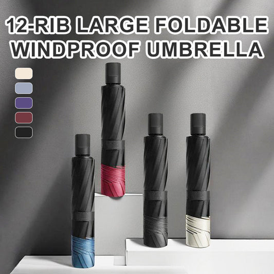 2025 Hot Sale☔12-Rib grote opvouwbare winddichte paraplu
