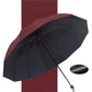2025 Hot Sale☔12-Rib grote opvouwbare winddichte paraplu