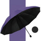 2025 Hot Sale☔12-Rib grote opvouwbare winddichte paraplu