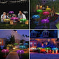 🔥 54% KORTING ! ✨ Zonne-energie Kwal Lamp - Optische Vezels, Kleurverloop Effect, Waterdicht Ontwerp ❄️✨
