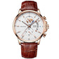 🔥 Luxe Lichtgevend & Waterdicht Heren Quartzhorloge ⌚