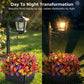 Solar Tuinlamp Met Plantenbakvoet – Licht & Groen In Één🌱💡Geen kabels, geen gedoe – Zelfs je planten staan in het zonnetje