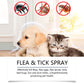 🍃Natuurlijke Vlooi- en Tekspray voor Honden en Katten🐾 Houd uw Geliefde Huisdier Vrij van Ongedierte
