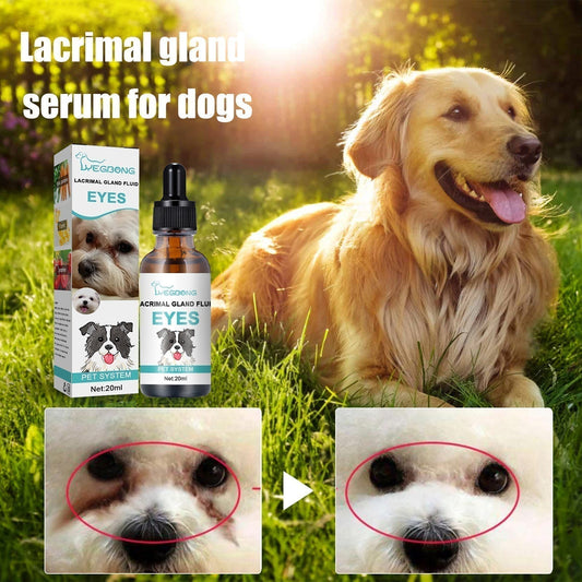 ✨ Tijdelijke Deal 🐱🐶 Oogreiniger Set – Zachte Verzorging Voor Huisdieren🌿💧
