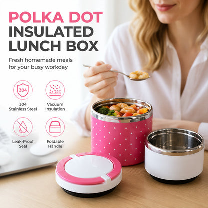 🍳 Draagbare, geïsoleerde roestvrijstalen lunchbox