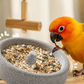🐦 KOOP 2, KRIJG 1 GRATIS! 2-in-1 Vogelvoerbak & Snavelslijper van Vulkanisch Gesteente – Praktisch & Duurzaam voor in de Vogelkooi 🌋